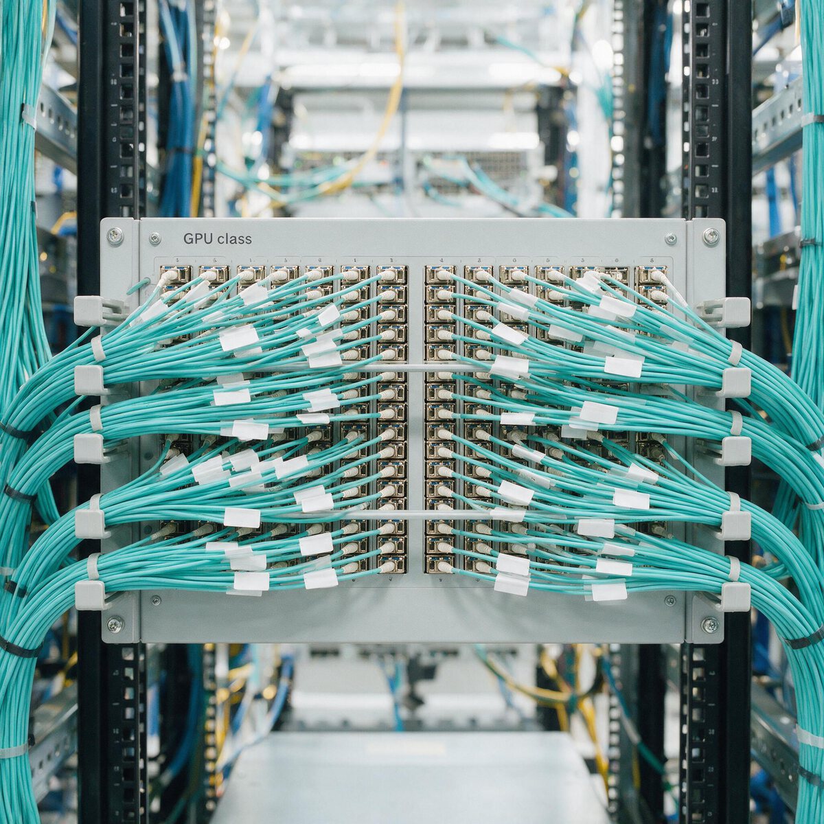 High-density fibre patching on a GPU cluster switch — colour-sorted aqua jumpers, each labelled